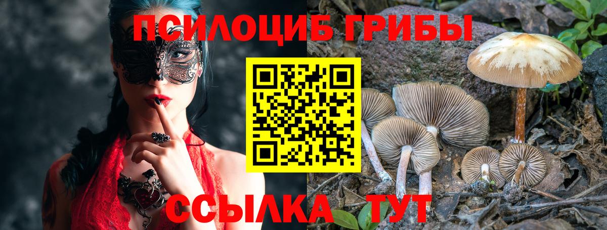 Галлюциногенные грибы GOLDEN TEACHER Слободской