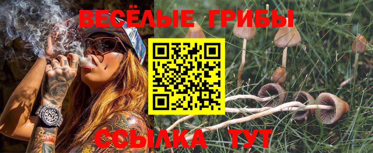 Слободской  Галлюциногенные грибы Psilocybe  Вход с VPN 