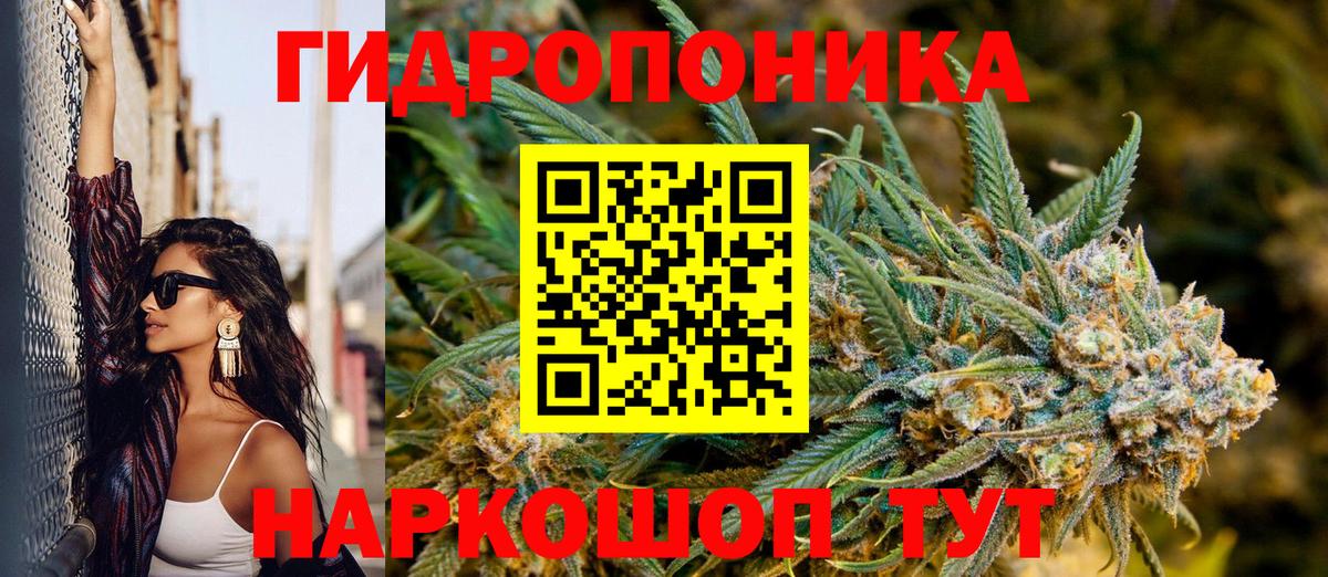 Канабис индика  Канабис планчик  Вход с VPN  Слободской 